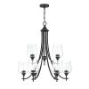 9-Light Matte Black Classic Chandelier With Glass Shades