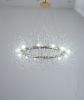 Modern American round crystal chandelier -12 bulbs