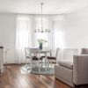 Modern 5-Light 20.5" Clear Glass and Metal Hanging Pendant Chandelier, Nickel