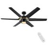 Modern 60 Integrated LED Light Ceiling Fan with Remote Control
