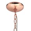 Modern 5-Light 20.5" Clear Glass and Metal Hanging Pendant Chandelier, Rose Gold