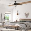 44" Black Traditional LED Ceiling Fan with 5 Blades, Light Kit, Pull Chains & Reverse Airflow