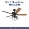 50588-35 Madison County Industrial 42-Inch Aged Bronze Indoor Ceiling Fan, Cage LED Cage Barnwood, Tumbleweed Blades